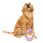 What the Duck - Sirius Quack - Dog Toy