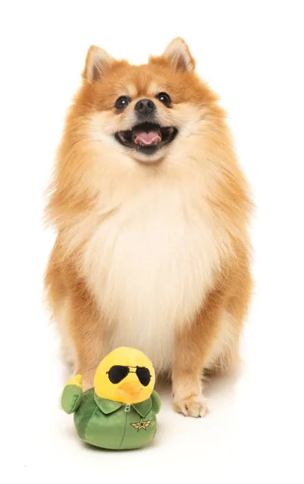 What the Duck - Goose - Dog Toy