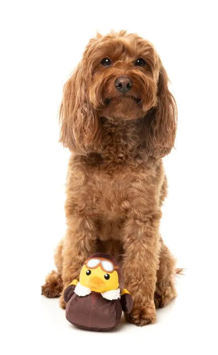 What the Duck - Amelia Quackhart - Dog Toy