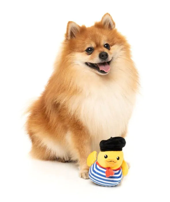 What the Duck - Timotheé Chalaquack - Dog Toy
