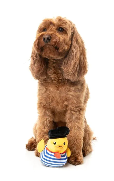 What the Duck - Timotheé Chalaquack - Dog Toy