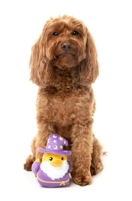 What the Duck - Sirius Quack - Dog Toy