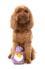 What the Duck - Sirius Quack - Dog Toy