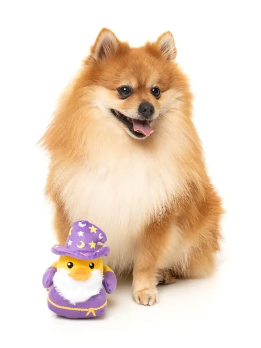 What the Duck - Sirius Quack - Dog Toy