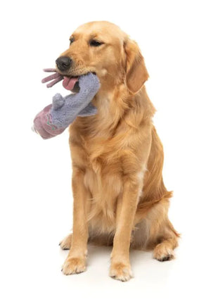 Peace Out Pigeon - The Yeetz - Dog Toy