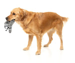 Run Along Raccoon - The Yeetz - Dog Toy