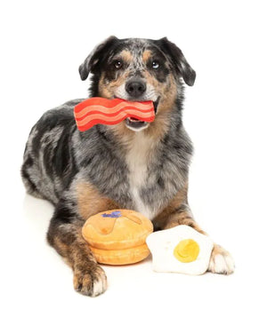 Dog's Breakfast 3PK - Dog Toy