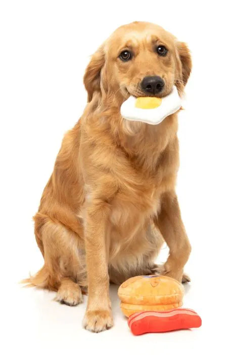 Dog's Breakfast 3PK - Dog Toy