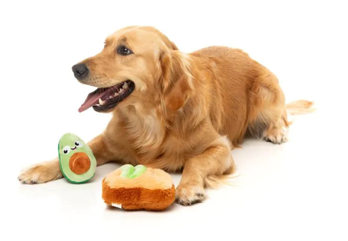 Avocado & Toast 2PK - Dog Toy
