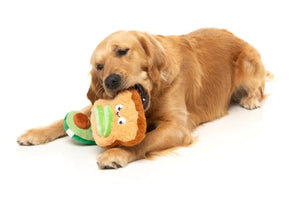 Avocado & Toast 2PK - Dog Toy
