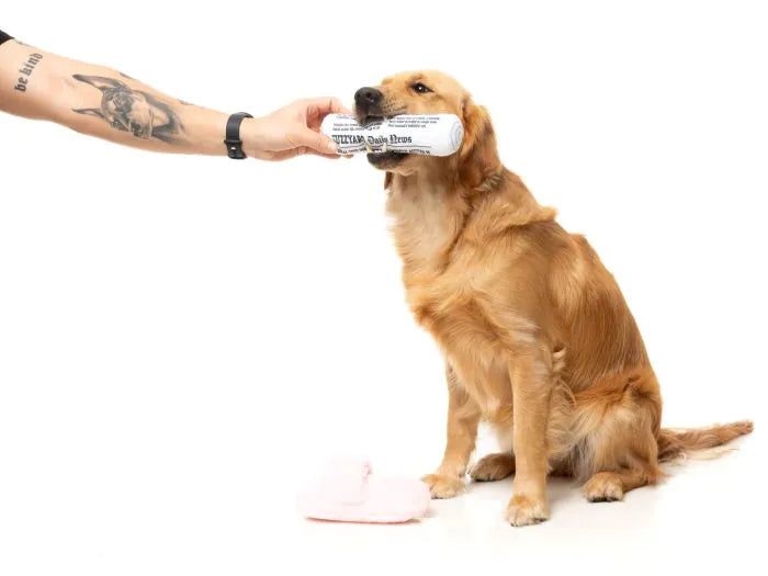 Fetch My Slippers & Paper 2PK - Dog Toy