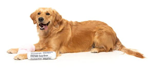 Fetch My Slippers & Paper 2PK - Dog Toy