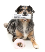 Fetch My Slippers & Paper 2PK - Dog Toy
