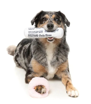 Fetch My Slippers & Paper 2PK - Dog Toy