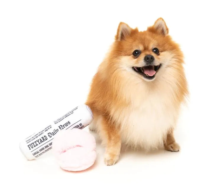 Fetch My Slippers & Paper 2PK - Dog Toy