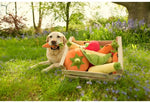 Garden Fresh Carrot