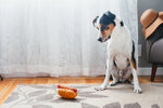 American Classic (Mini) Hot Dog XS