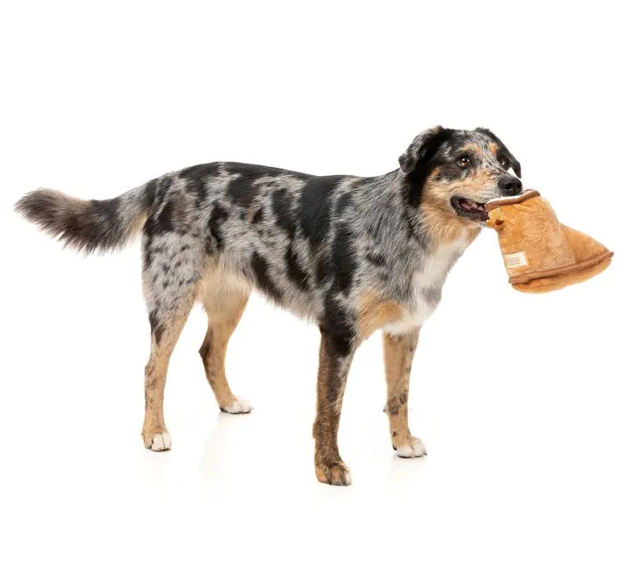 Dogg Boot - Dog Toy