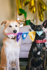 Party Animal - Party Flag