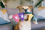Party Animal - Party Flag