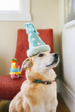 Party Animal - Yappy Party Hat