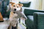 Ocean Buddies - Great White Shark - Large