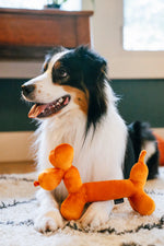 Party Animal - Balloon Dog Buddy
