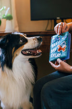 Party Animal - Birthday Card Barkday Wishes