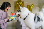 Party Animal - Fiesta Fetch Pinata