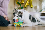 Party Animal - Fiesta Fetch Pinata
