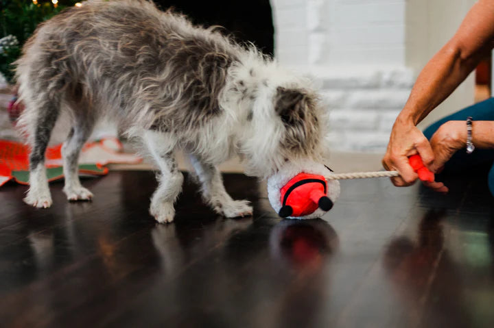 Merry Woofmas Clumsy Santa - Christmas - Dog Toys