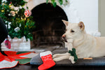 Merry Woofmas Good Dog Stocking & Bone 2 Pieces - Christmas - Dog Toys