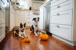 Garden Fresh (Mini) Pumpkin XS