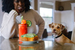 Barking Brunch (Mini) Bloody Mary XS