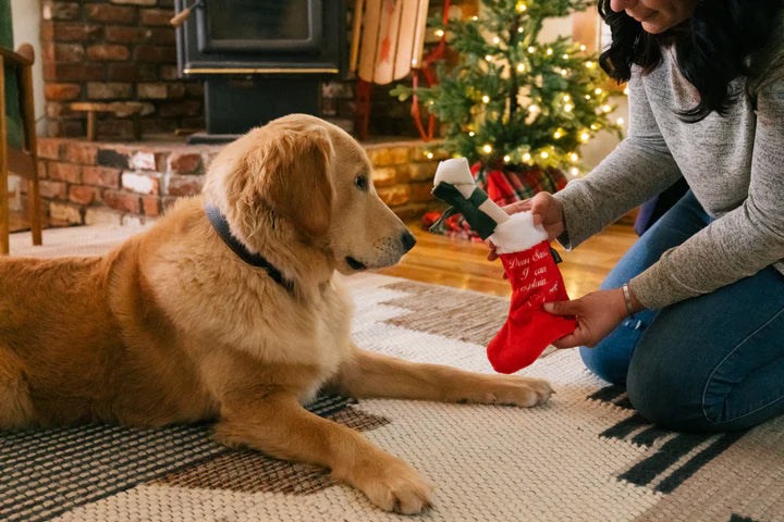 Merry Woofmas Good Dog Stocking & Bone 2 Pieces - Christmas - Dog Toys