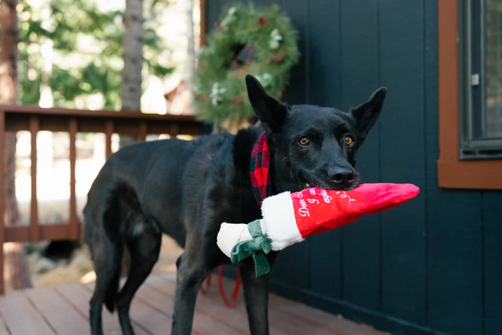 Merry Woofmas Good Dog Stocking & Bone 2 Pieces - Christmas - Dog Toys