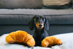Barking Brunch (Mini) Croissant XS