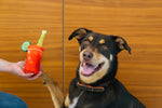 Barking Brunch (Mini) Bloody Mary XS