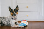 Snack Attack (Mini) Fluffles Chips XS
