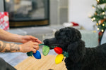 Home for Holiday - Holiday Lights - Christmas - Dog Toys