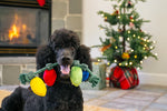 Home for Holiday - Holiday Lights - Christmas - Dog Toys