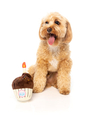 Birthday Cupcake Dog Toy