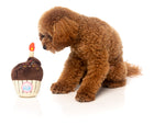 Birthday Cupcake Dog Toy