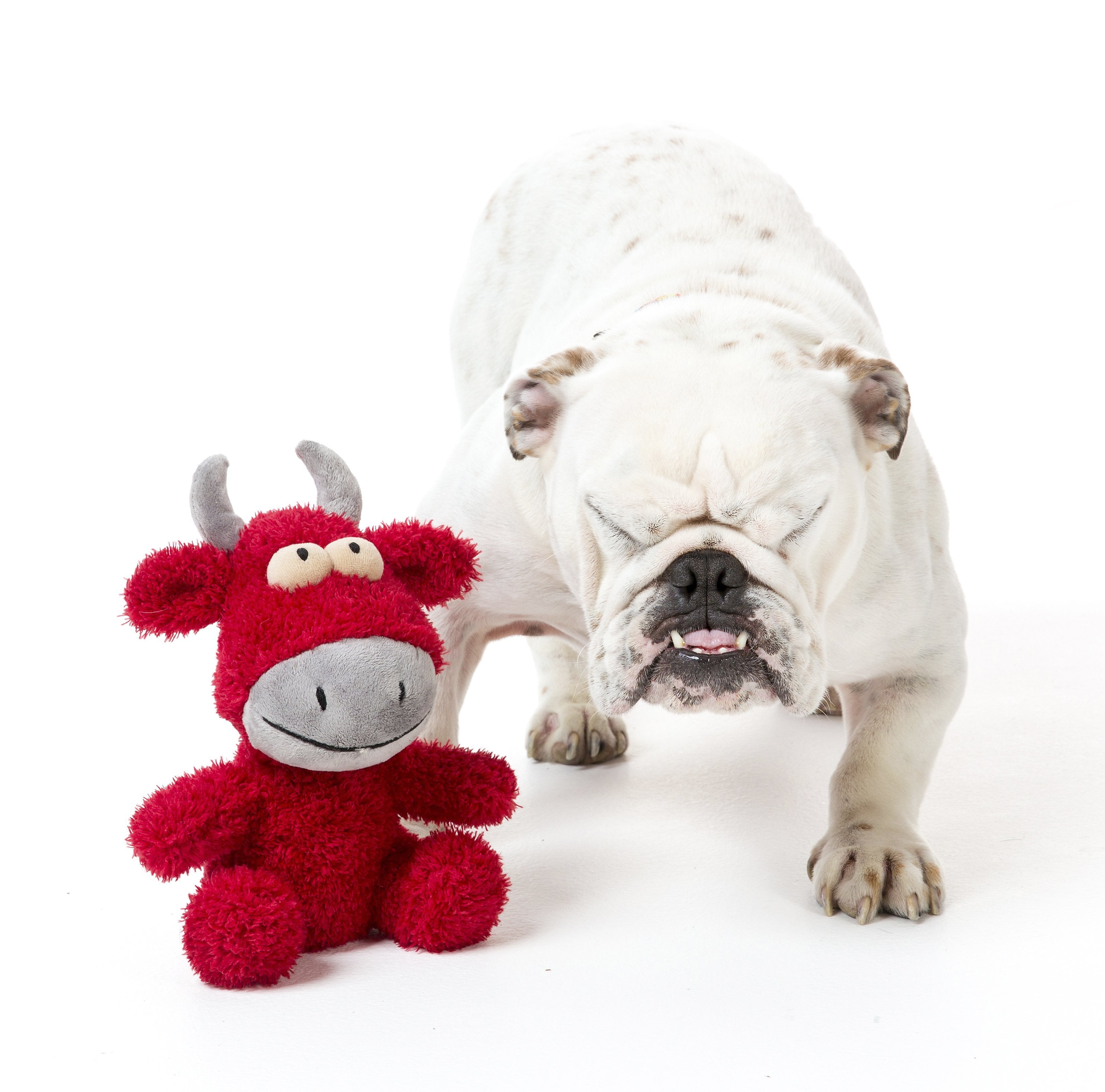 Jordan The Bull Plush Dog Toy