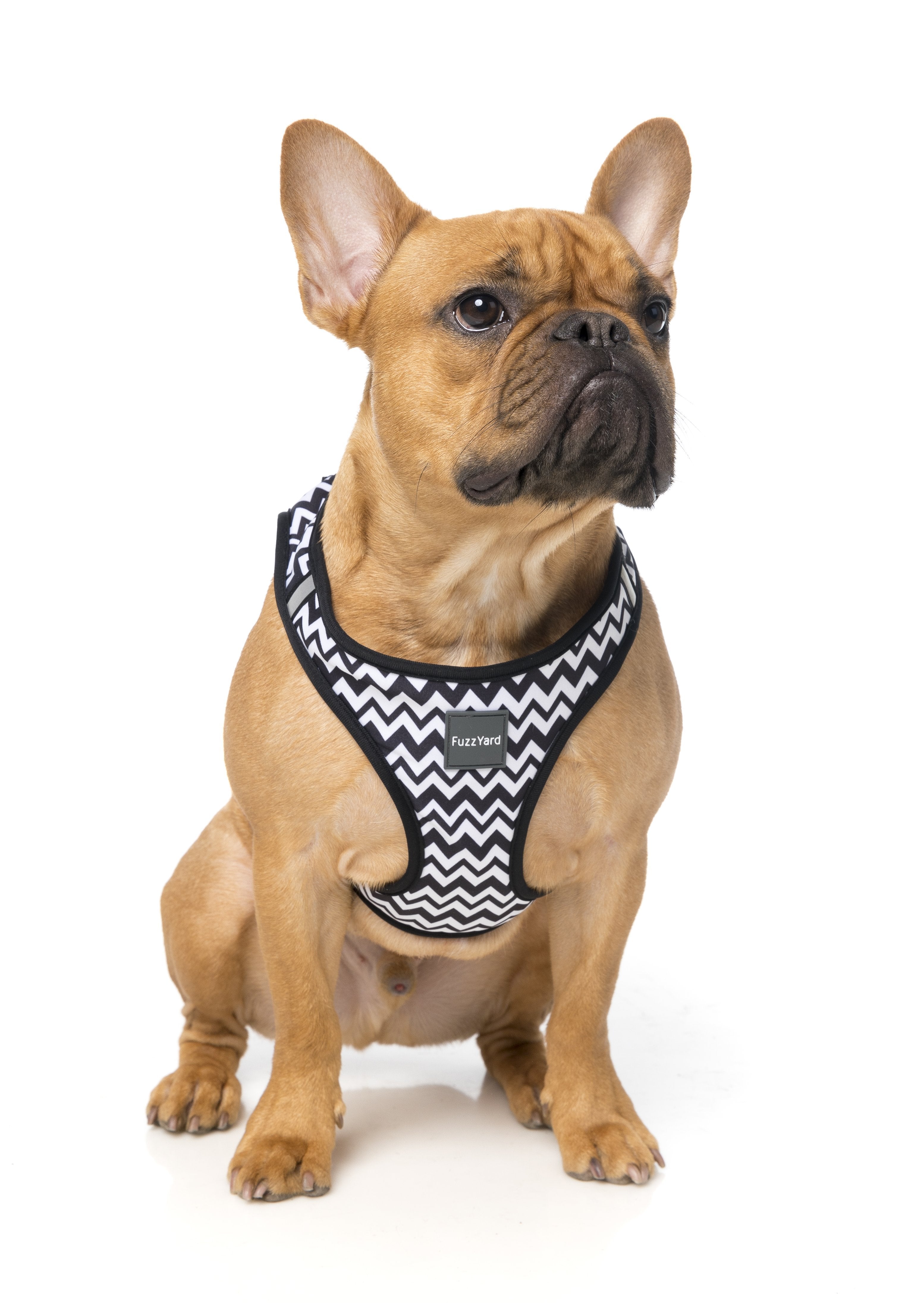 OK OK Step In Dog Harness
