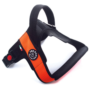 Primo Plus Harness with Handle Orange
