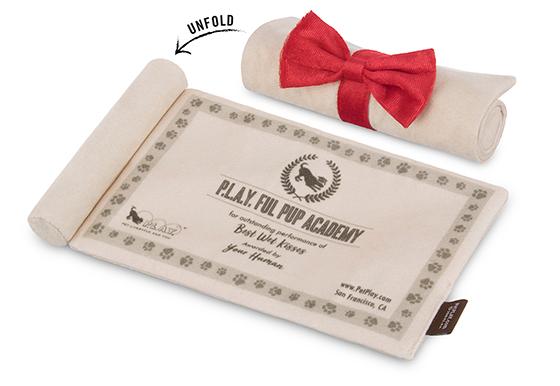 Back To School K9 Scholar Hat & Diploma