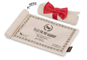 Back To School K9 Scholar Hat & Diploma