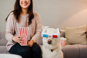 Hollywoof D3-Dog Glasses Dog Toy