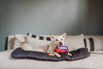 Canine Commute London Bus Dog Toy